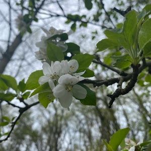 Meet your Posher, Liz